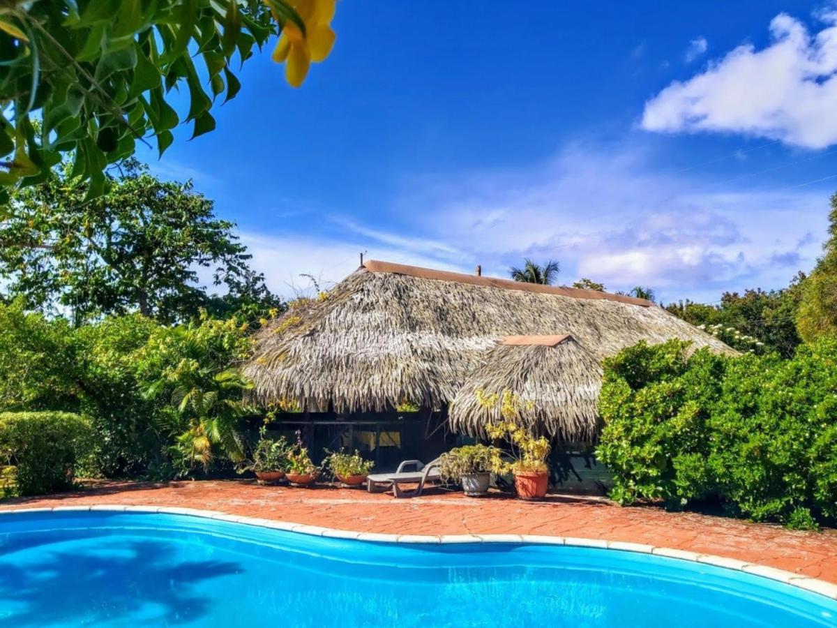 Huahine - Bungalow Pitate 파레 외부 사진
